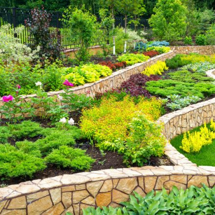 Using Natural Rocks inside your Landscape Gardens